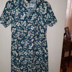 Banana Republic Dress